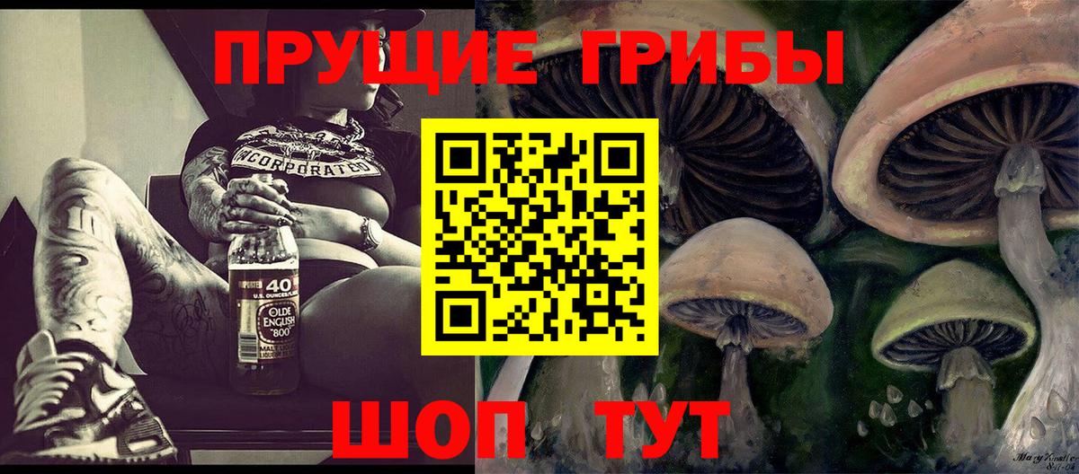 Псилоцибиновые грибы прущие грибы  Вход с VPN  Биробиджан 