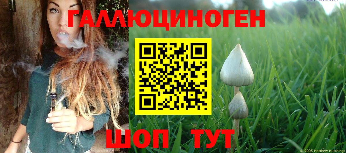 Псилоцибиновые грибы ЛСД Биробиджан